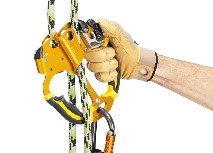 PETZL Ascentree double handled rope clamp - Arbo Space