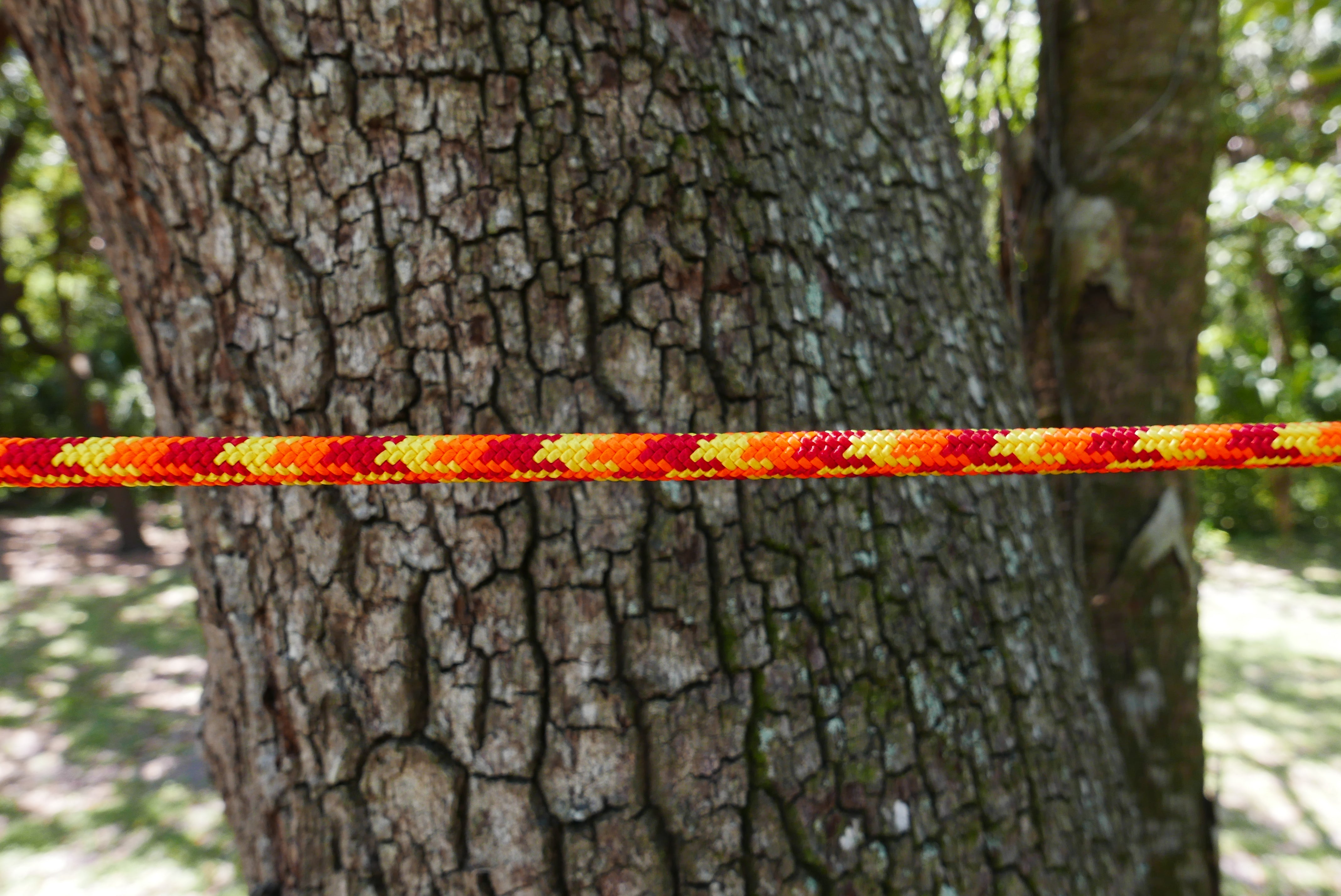 Arbo Space Ropes