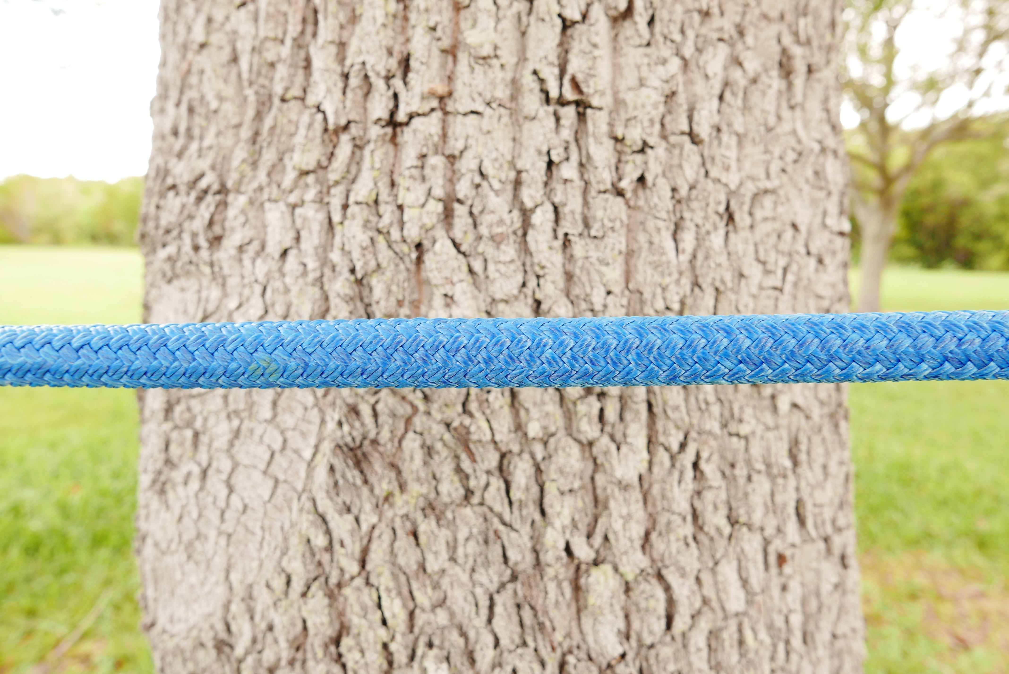 Arbo Space Ropes