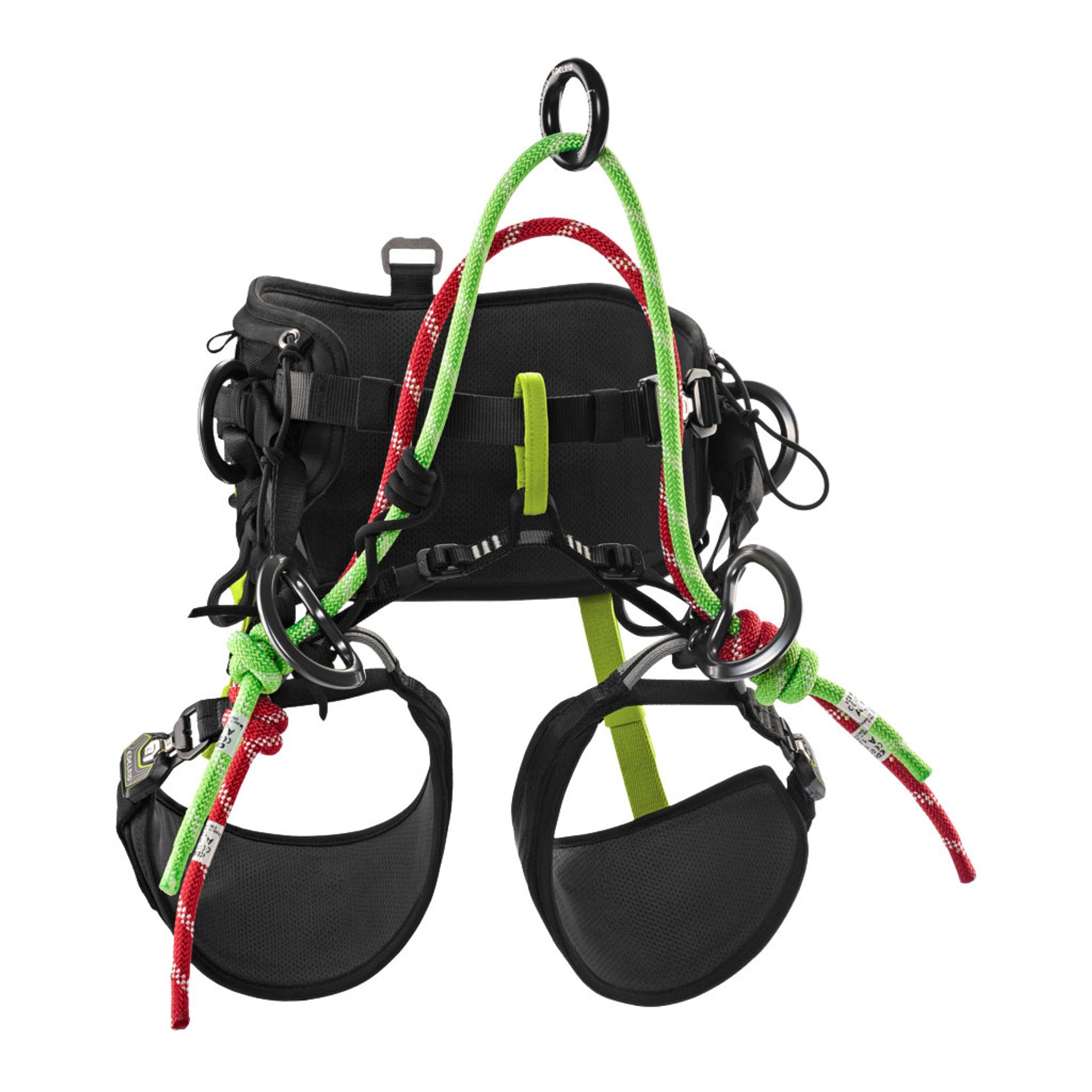 HAAS Velox Ascent System | TreeStuff